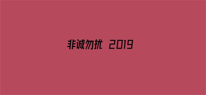 非诚勿扰 2019